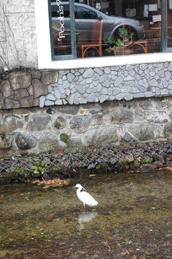 DSC05486.JPG