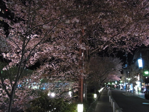 R0010140.JPG