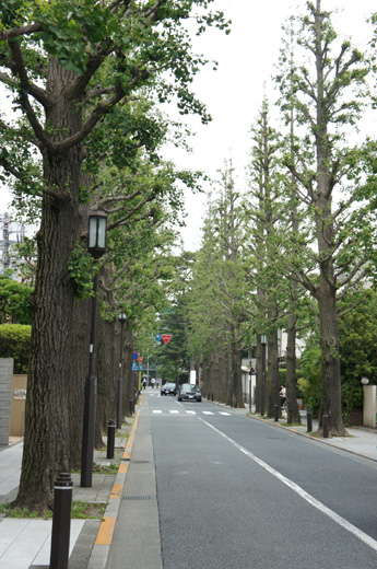 DSC07176.JPG