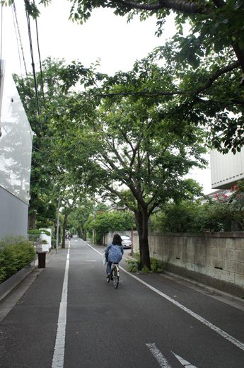 DSC07177.JPG