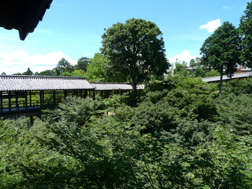 P1260248.JPG
