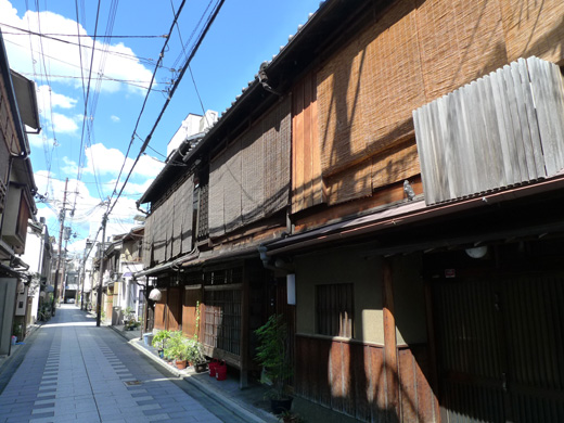 P1260291.JPG