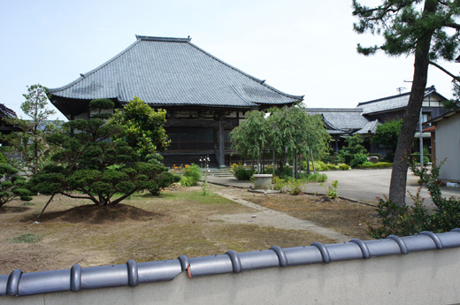 DSC08516.JPG
