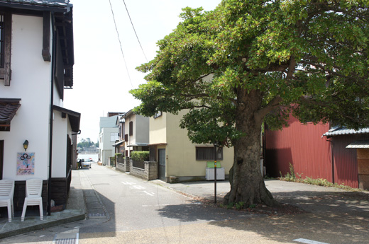 DSC08517.JPG