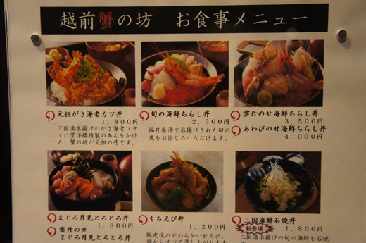 DSC08563.JPG