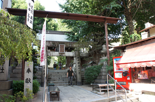 DSC09089.JPG