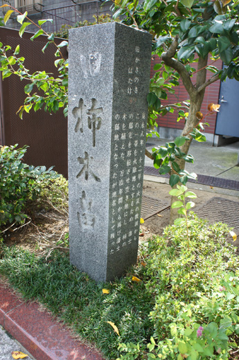 DSC09526.JPG