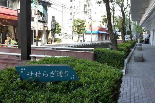 DSC09538.JPG