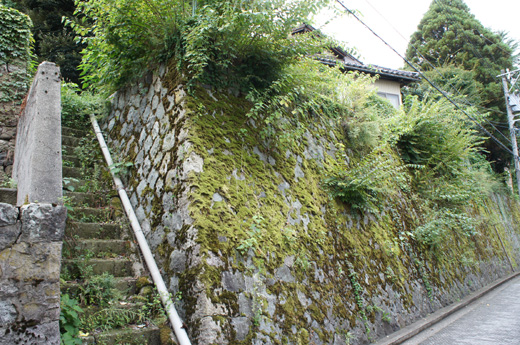 DSC09652.JPG