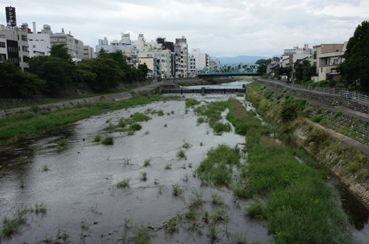 DSC09660.JPG