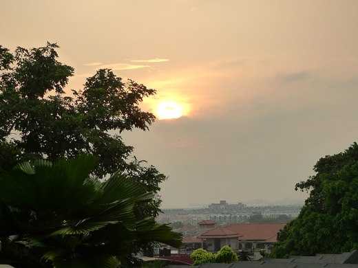 P1270646.JPG