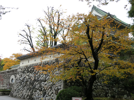 IMG_3240.jpg