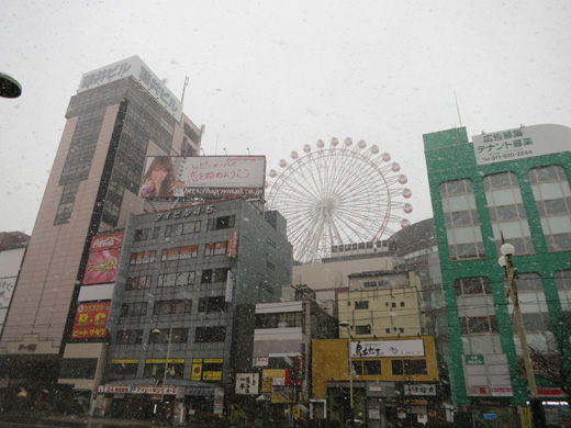 IMG_3337.jpg