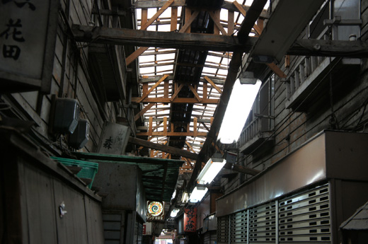 DSC00395.JPG
