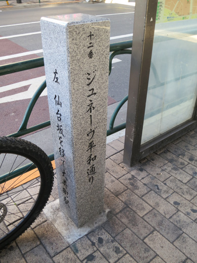 IMG_3894.jpg