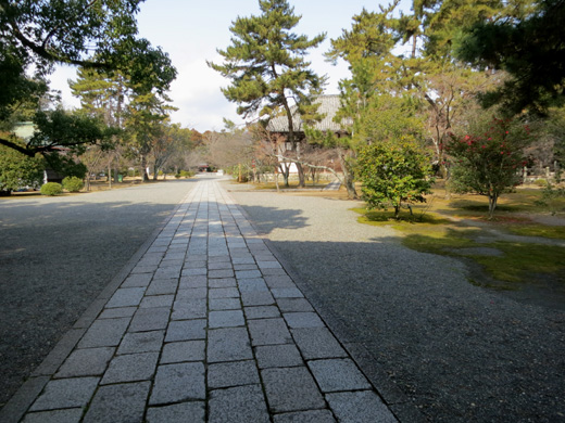 IMG_4770.JPG