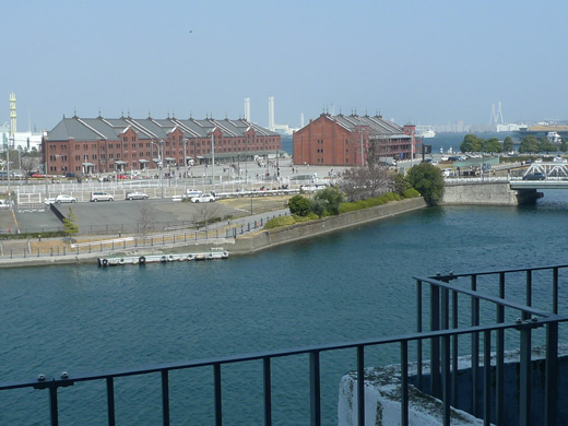 P1290033.JPG