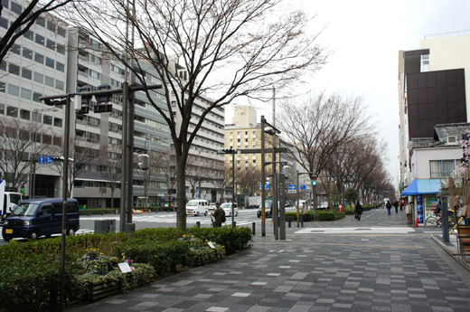 DSC01477.JPG