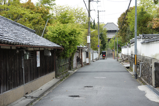 DSC01974.JPG