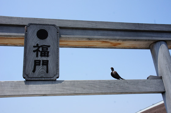 DSC02160.JPG