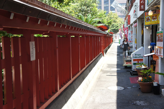 DSC02218.JPG