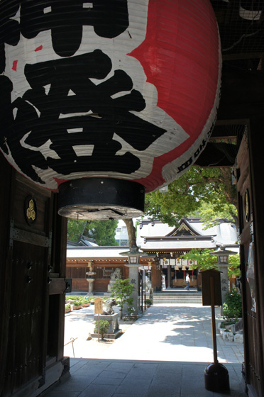 DSC02250.JPG