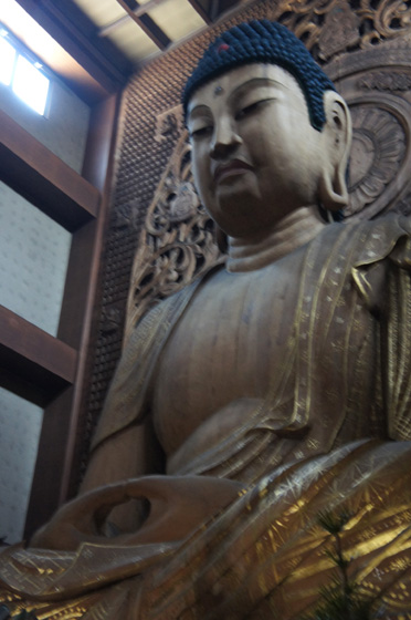 DSC02260.JPG