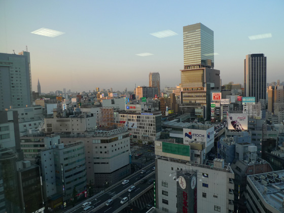 P1290512.JPG