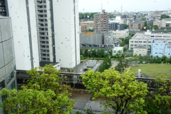 DSC02950.JPG