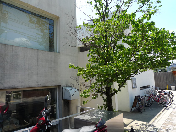 P1290666.JPG