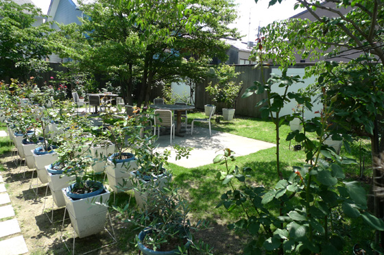 P1290676.JPG