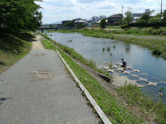 P1290689.JPG