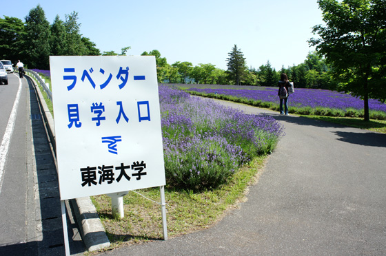 DSC03560.JPG