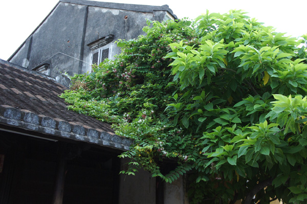 DSC04855.JPG