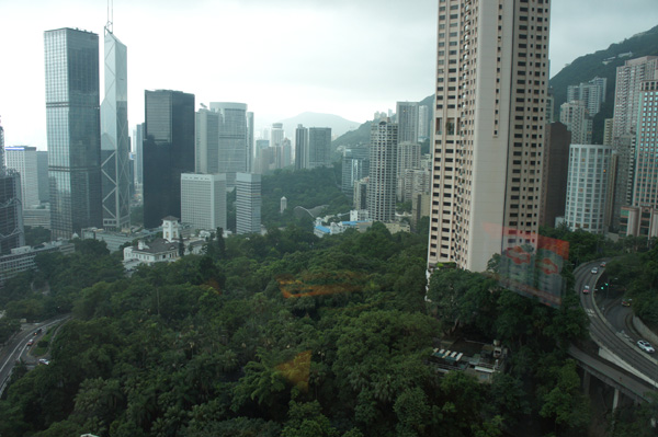 DSC05168.JPG