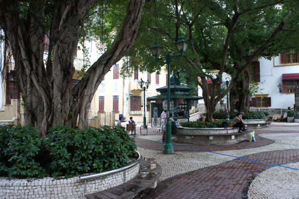 DSC05264.JPG