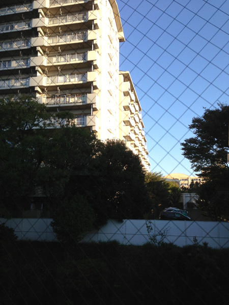 写真5.JPG