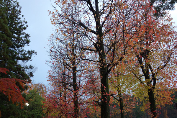 DSC00427.JPG