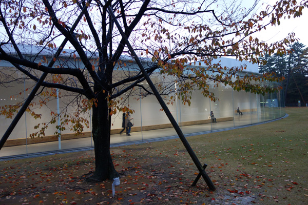 DSC00431.JPG
