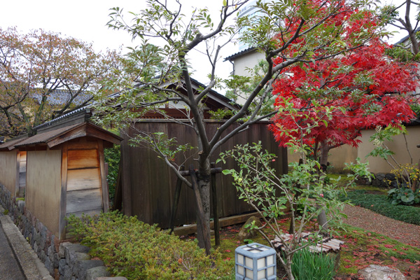 DSC00454.JPG