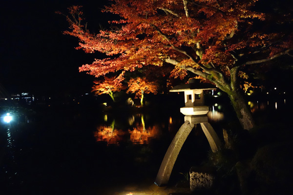 DSC00580.JPG