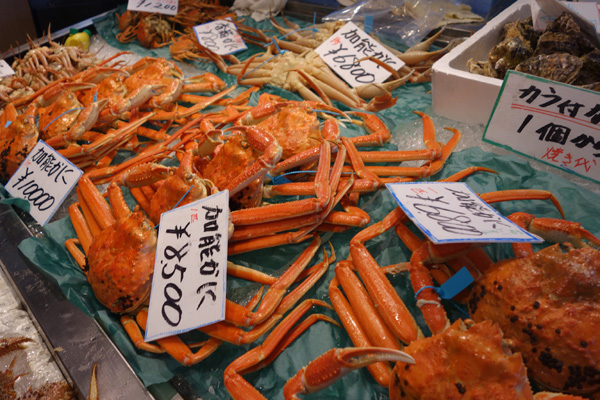 DSC00613.JPG