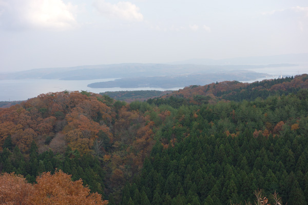 DSC00727.JPG