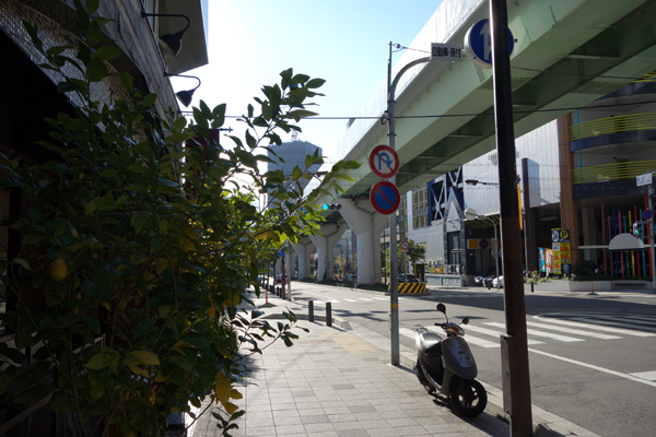 DSC01198.JPG