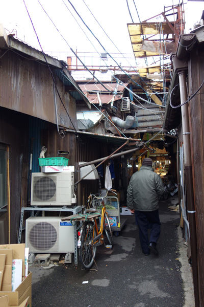 DSC01589.JPG