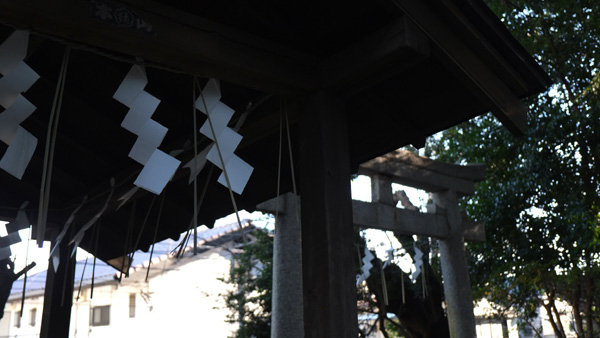 DSCF0004.jpg