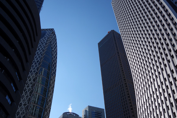 DSC02079.JPG