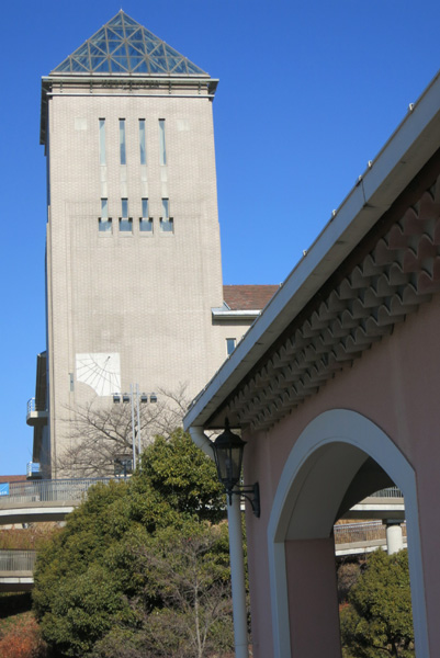 IMG_1654.jpg