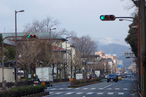 DSC02518.JPG