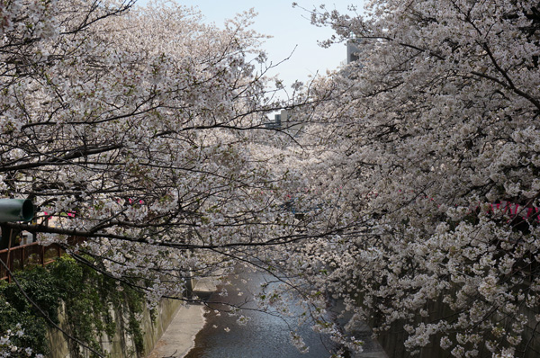 DSC00035.JPG